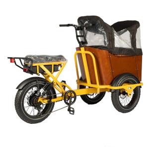 Wholesale 50-60 Nm Torque Three Wheel Cargo Ebike Safe for Carrying Children and Food Delivery from china suppliers