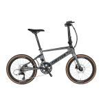 Hydraulic Brake Carbon Fiber Folding Mountain Bike 22 inch 22 speed