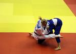 High Density Bjj Colourful Jujitsu Martial Arts Competition And Training Judo