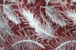 2017 Hot Sale Garment Accessories White Fether Embroidery Lace Fabric With