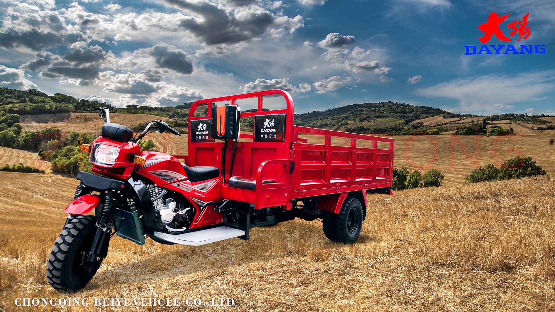 Standard Size Motorized Tricycles 800kg Loading Capacity for Your Business Needs