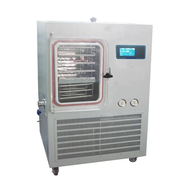 Small Household Freeze Pharmaceutical Dryers AC380V For Food Mini Vacuum