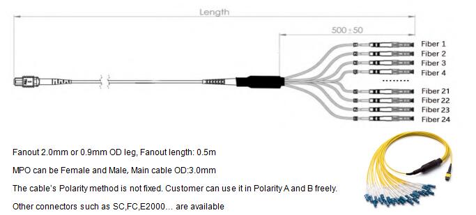 24 Fibers MPO to LC Singlemode Fiber Optic MPO-LC 2.0mm Straight harness Cables