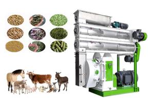 Wholesale High Efficiency Animal Feed Making Machine , Cow Hen Food Making Machine from china suppliers