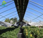 Automatic Blackout Light Dep Greenhouse Plastic Film Rolling Electric Greenhouse