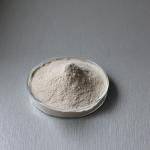 pancreatin 10000 proteolytic enzymes in pancreatic juice providing enzyme