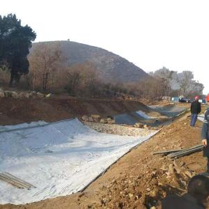 Wholesale Anti-Leakage Waterproof Geosynthetic Clay Liner Made in for Municipal Water Conservancy from china suppliers