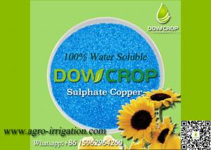 Wholesale 100% WATER SOLUBLE SULPHATE COPPER PENTAHYDATE 25% BLUE POWDER MICRO NUTRIENTS FERTILIZER from china suppliers