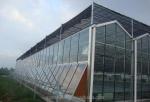 Galvanized Steel Frame Glass Covered Agriculture Greenhouse with Installation