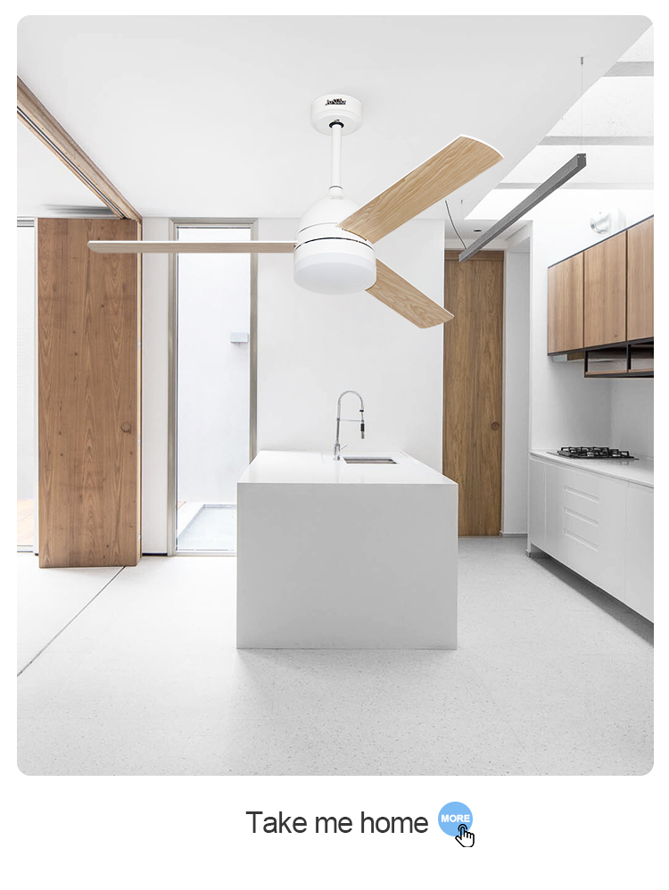 1stshine DC Motor Ceiling Fan with LED Light and Remote Control A Lighting Solution