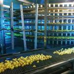 304 Stainless Steel Bread Spiral Cooling Tower in China Manufacturer