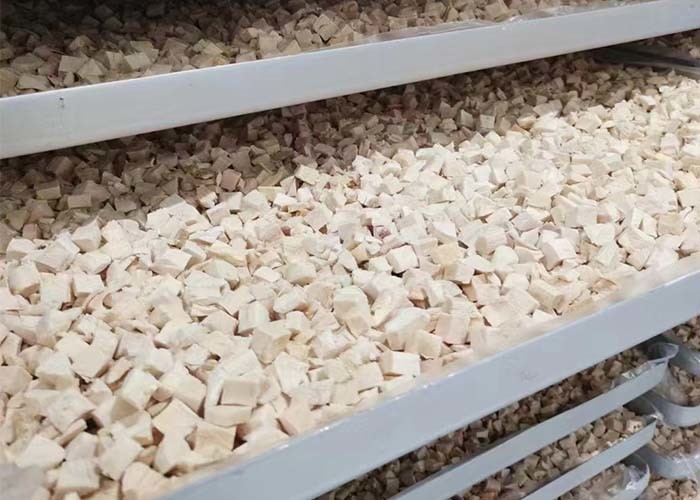 100KG Food Vacuum Freeze Dryer Industrial Freeze Drying Equipment