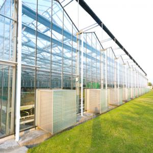 Wholesale Waterproof Tempered Glass Greenhouse Heat Preservation Energy Saving Laminated Glass Greenhouse Powder Coating Aluminum Frame Sunroom from china suppliers