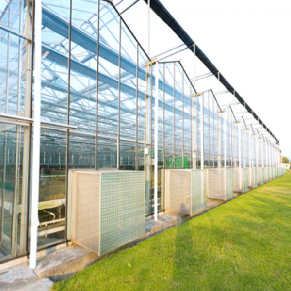 Waterproof Tempered Glass Greenhouse Heat Preservation Energy Saving Laminated