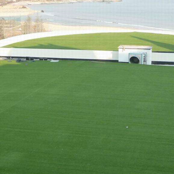 Ground Cover Turf For House Roof Top Amazing Anti Aging PE PP Material