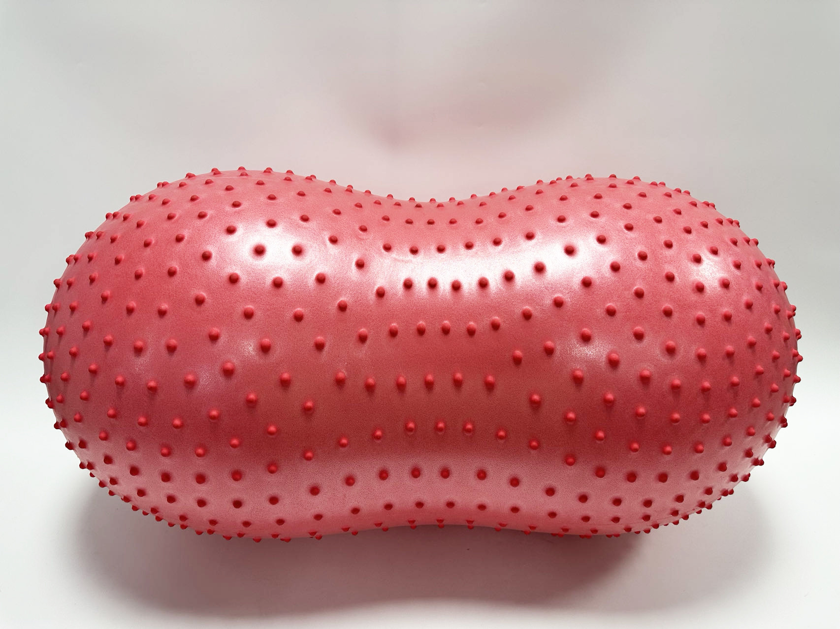 High Quality Peanut Dog Stability Ball Wholesales