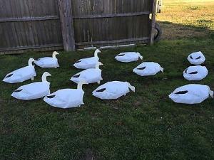 Wholesale Deadly Decoys Headless Economy Snow Geese from china suppliers