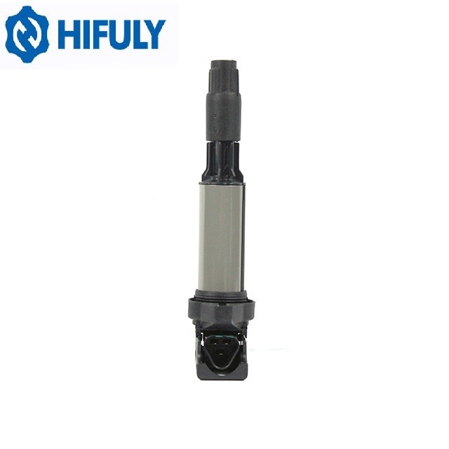 0221504100 BMW Ignition Coil 550 650i 750i X5 OEM Ignition Coils And Spark Plugs