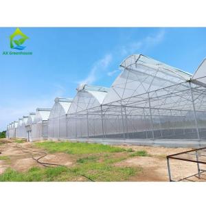 Wholesale Multi Span Aluminum Tunnel Greenhouse for Flowers Vegetables Plant from china suppliers