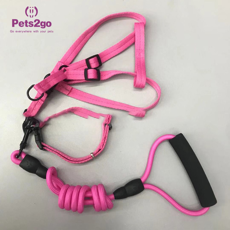 S Size Nylon Stocked 500cm*1cm Dog Leash Rope