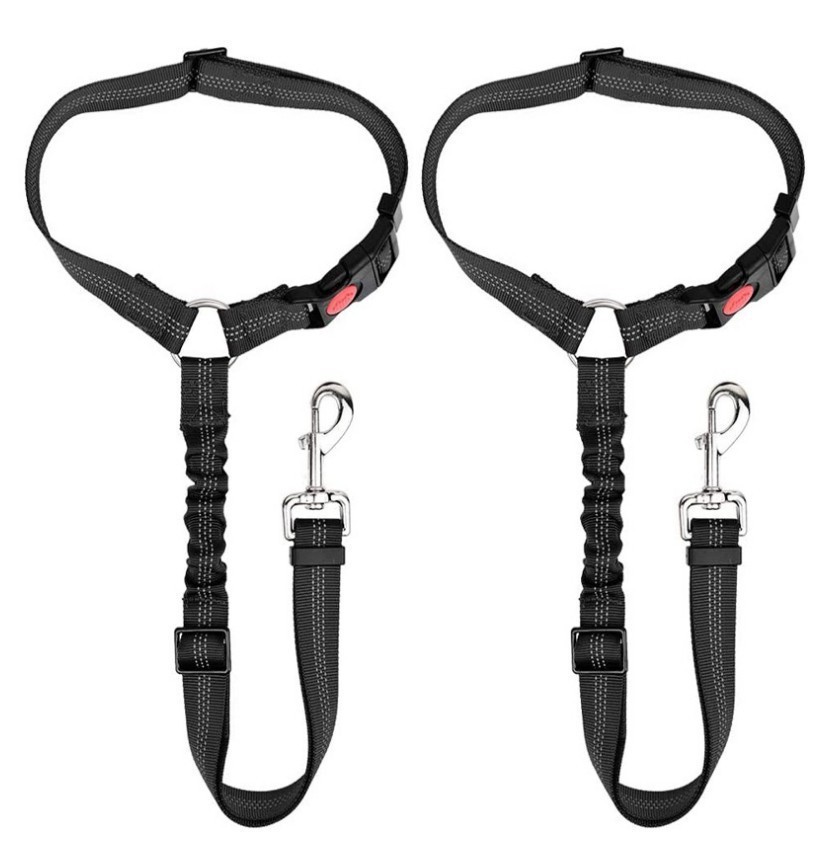 Retractable Elastic Reflective Luminous Traction Belt For Dogs