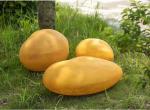 Simulated Glowing Stone LED Outdoor Landscape Lamps Waterproof Pebble Low