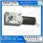 GM4058-3162ZY 24V 14RPM 2000mA 40mm Metal Worm Drive Motor