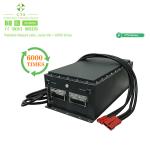 Lifepo4 AGV Robot Golf Cart Lithium Ion Batteries 24V 36V 48V 72V 100Ah 200Ah