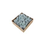 Events Decoration Fake Moss Decor Natural Touch Wall Decoration