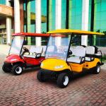 6 Seater Golf Cart Low Speed Vehicle 4 Wheel Drive Push Electric Street Legal