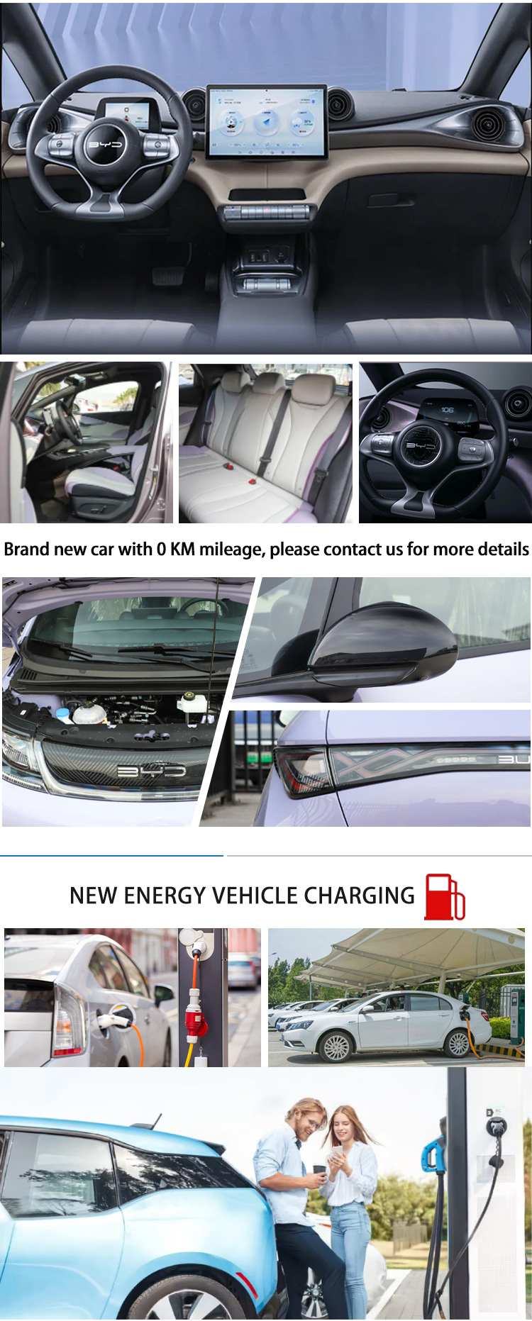 Powered EV Electric Car Vehicles Eco Friendly With Lithium Iron Battery