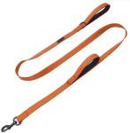Double Handle Reflective Nylon Dog Leash