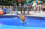 Anti Static Outdoor Water Sprinklers SS 304 Snail Water Splash Playground