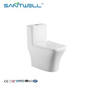 Wholesale 2021 new design sanitary ware small mini ceramic wc toilet for narrow bathroom SWM8621 from china suppliers