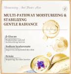 Brightening Niacinamide Vitamin C Face Lotion for Radiant Skin Reduce Dark Spots