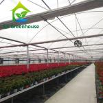 Strawberries Plastic Film Greenhouse