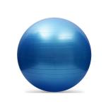 High Density Anti Burst Gym Ball , Blue Fitness Balance Ball Custom Logo