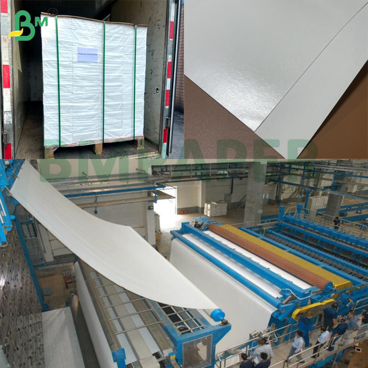Single / Double Side PE Coated Cup Stock Paper Board 250g + 15gsm for Bowls & Cups