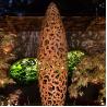 Buy cheap Western Style Curved Corten Steel Sculpture In 220cm Height from wholesalers