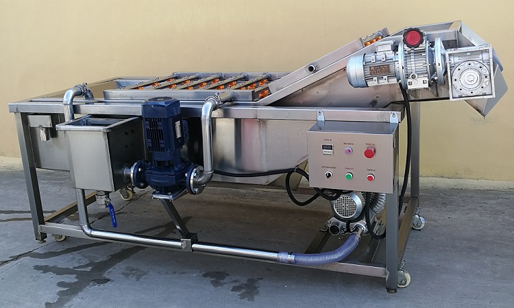 JOYSHINE Group's Mango Washing Machine Easy to Operate at 500kg/h Production Capacity