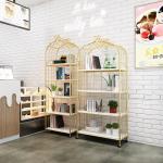 Bird Cage Shape 170cm Height Steel Book Rack Rustproof