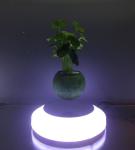 customize led light magnetic levitate floating bottom air bonsai tree flower