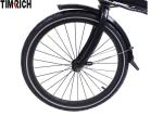 36V Electric Battery Powered Bike 20 Inch TM-KV-2020 With CE ROHS Approval