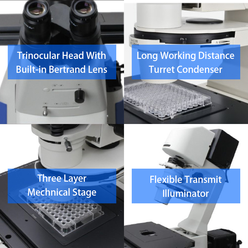 Opto Edu A16.1097 Lcd Touch Screen Fluorescence Stereomicroscope