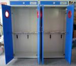 Full Steel Laboratory Storage Cabinets , Blue Gas Cylinder Safety Cabinets