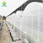 Plastic Film Greenhouse For Vegetables