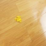 Eco Friendly Solid Bamboo Flooring Horizontal High Gloss Waterproof Laminate