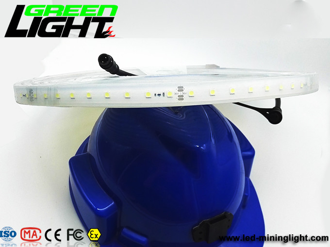 12v DC IP68 17W SMD5050 Flexible Led Strip Lights