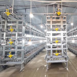 Wholesale Hot Dip Galvanized Q235 Broiler Equipment 108 / 144birds Wire Chicken Cage from china suppliers