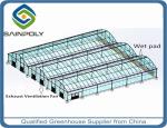 Anti Ultraviolet 6m Tomato Plastic Shed Film Greenhouse